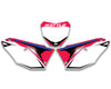 VISION Backgrounds - Fits HONDA